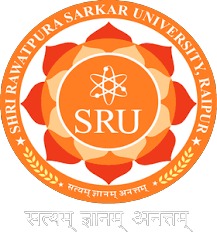 dy patil international university